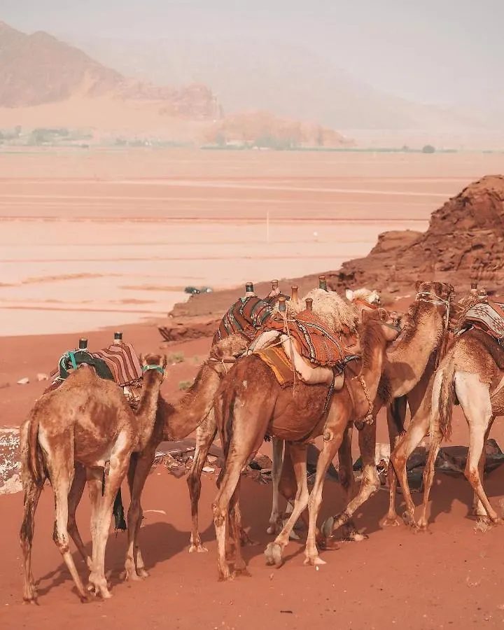 Wadi Rum Gulf Camp Aqaba 0*,  Jordan