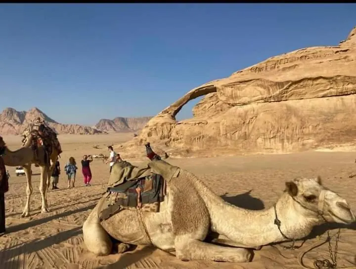 Wadi Rum Gulf Camp Aqaba